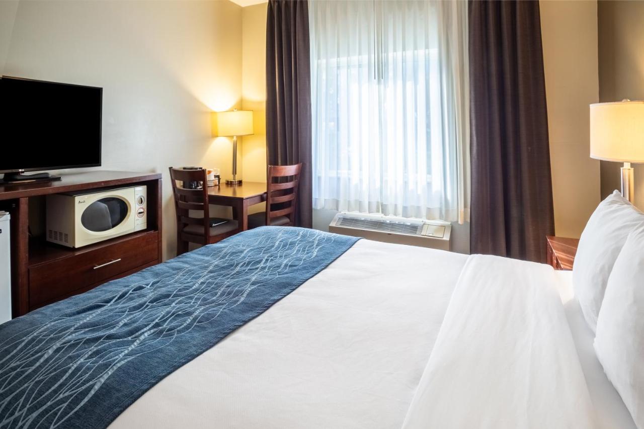 Queen Room - Accessible/Non-Smoking at Comfort Inn Lacey - Olympia