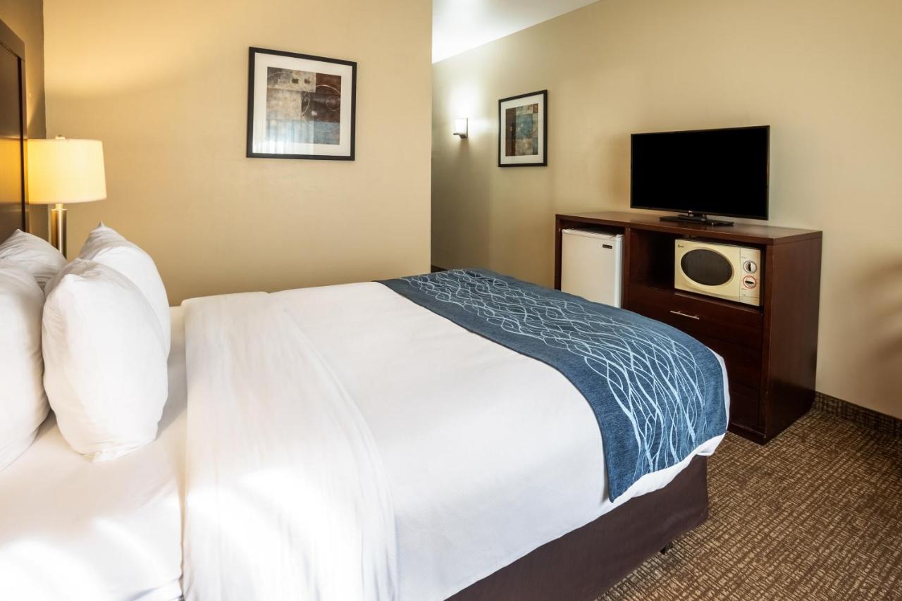 Queen Room - Accessible/Non-Smoking at Comfort Inn Lacey - Olympia
