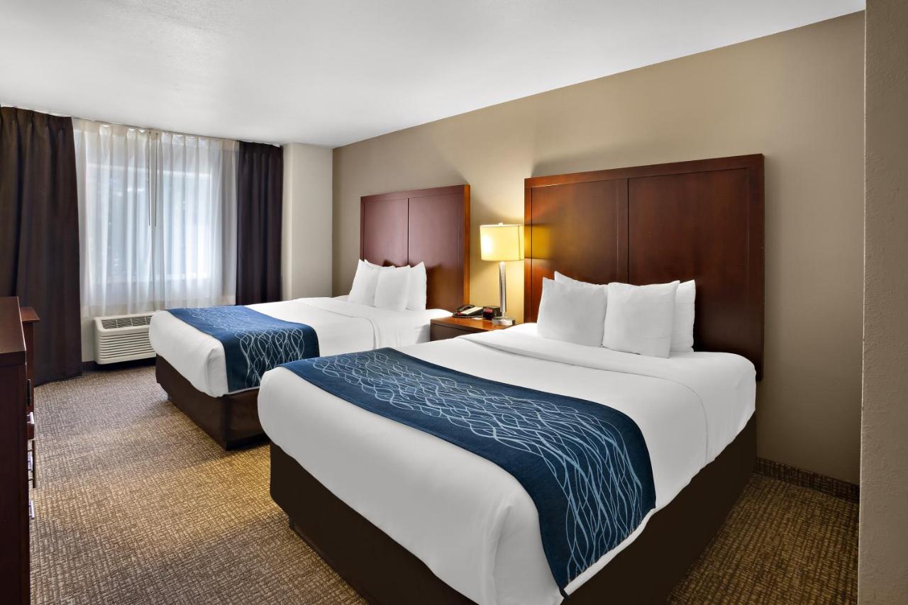 Queen Room with Two Queen Beds - Non-Smoking at Comfort Inn Lacey - Olympia