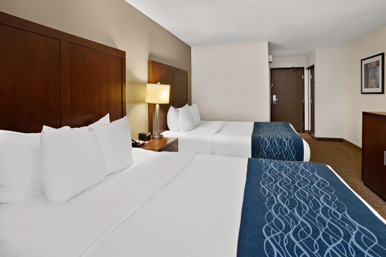 Deluxe Queen Studio at Comfort Inn Lacey - Olympia