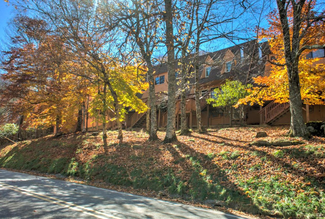 | Cedar Village Condominiums