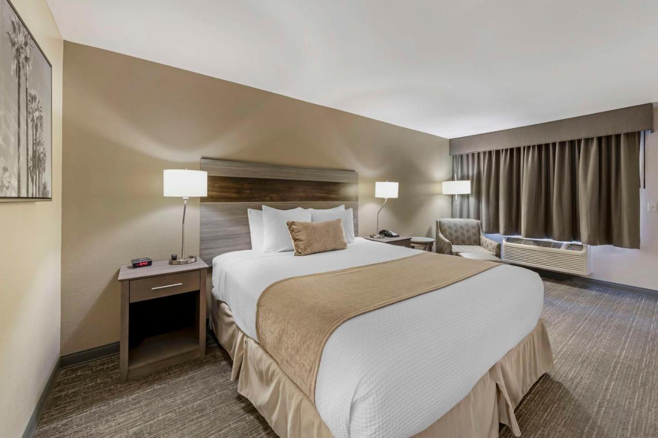 King Room with Roll-In Shower - Disability Access at Best Western Plus Executive Inn