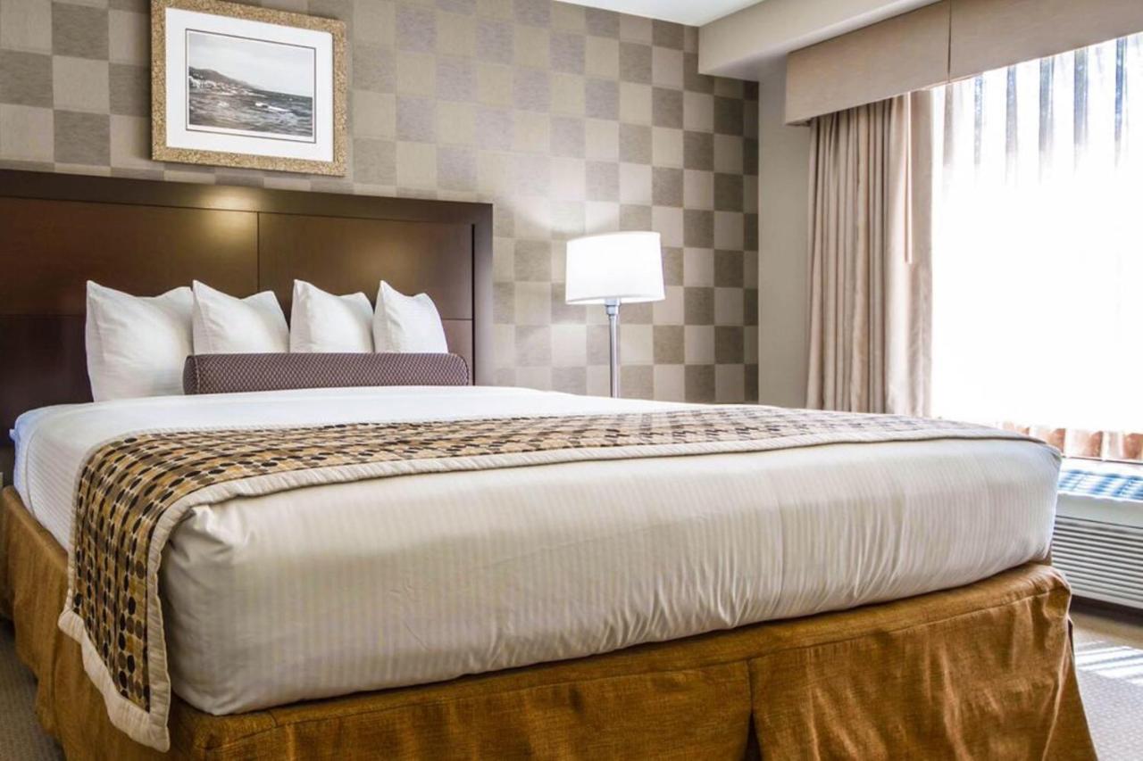 Mini Suite - Disability Access at Hotel Med Park, an Ascend Collection Hotel