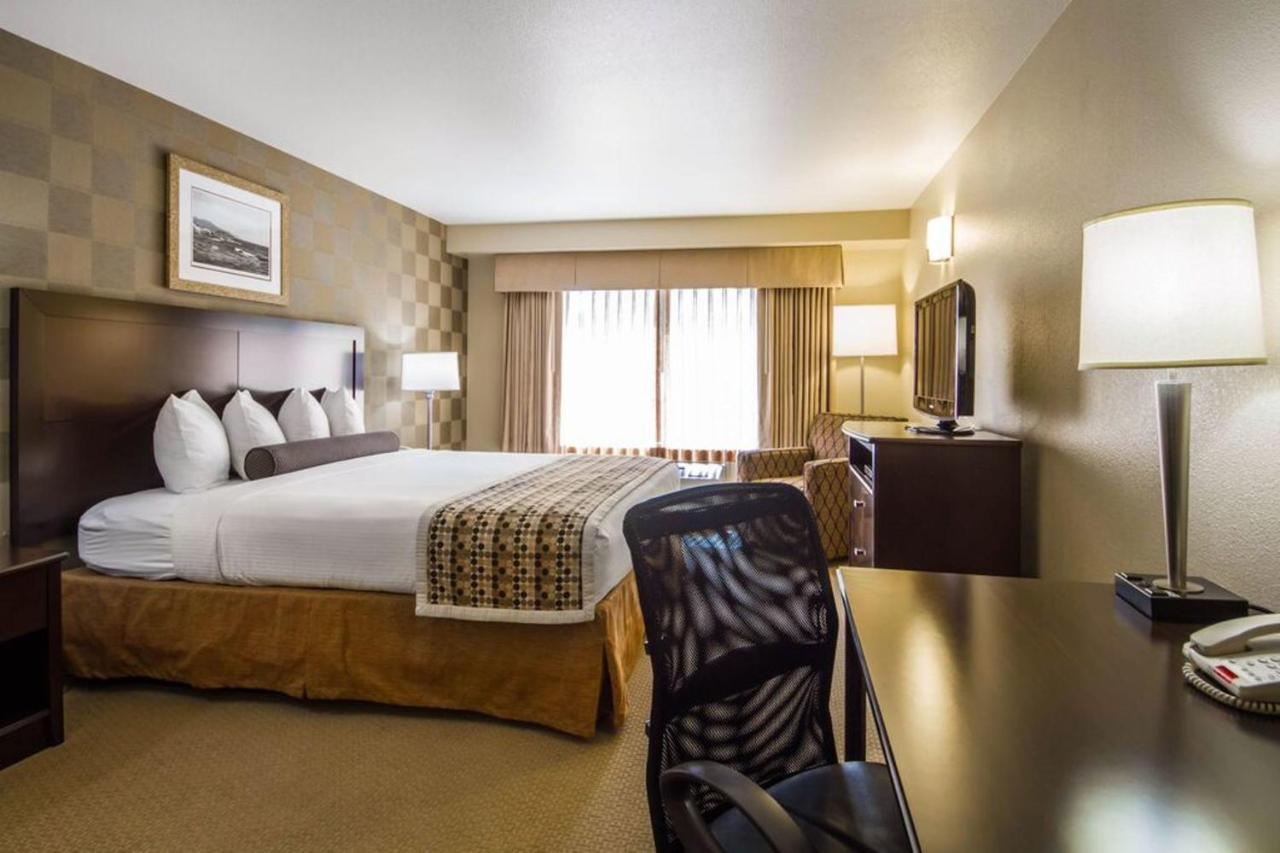 Mini Suite - Disability Access at Hotel Med Park, an Ascend Collection Hotel