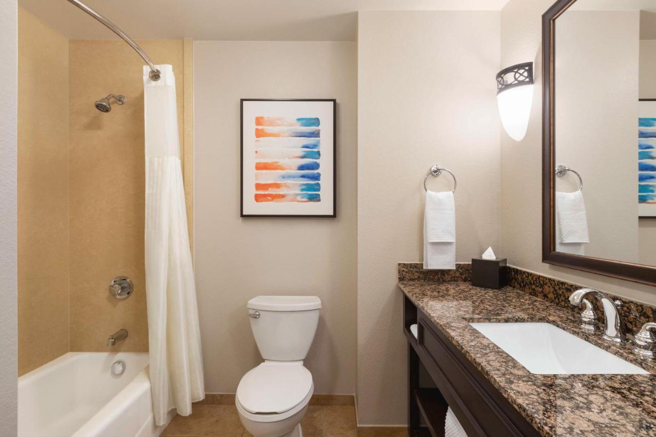 Deluxe King Room Non-Smoking at Embassy Suites by Hilton Orlando Lake Buena Vista South