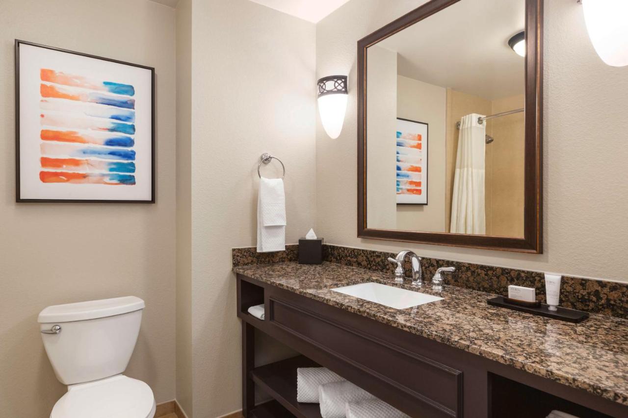 Deluxe King Room Non-Smoking at Embassy Suites by Hilton Orlando Lake Buena Vista South