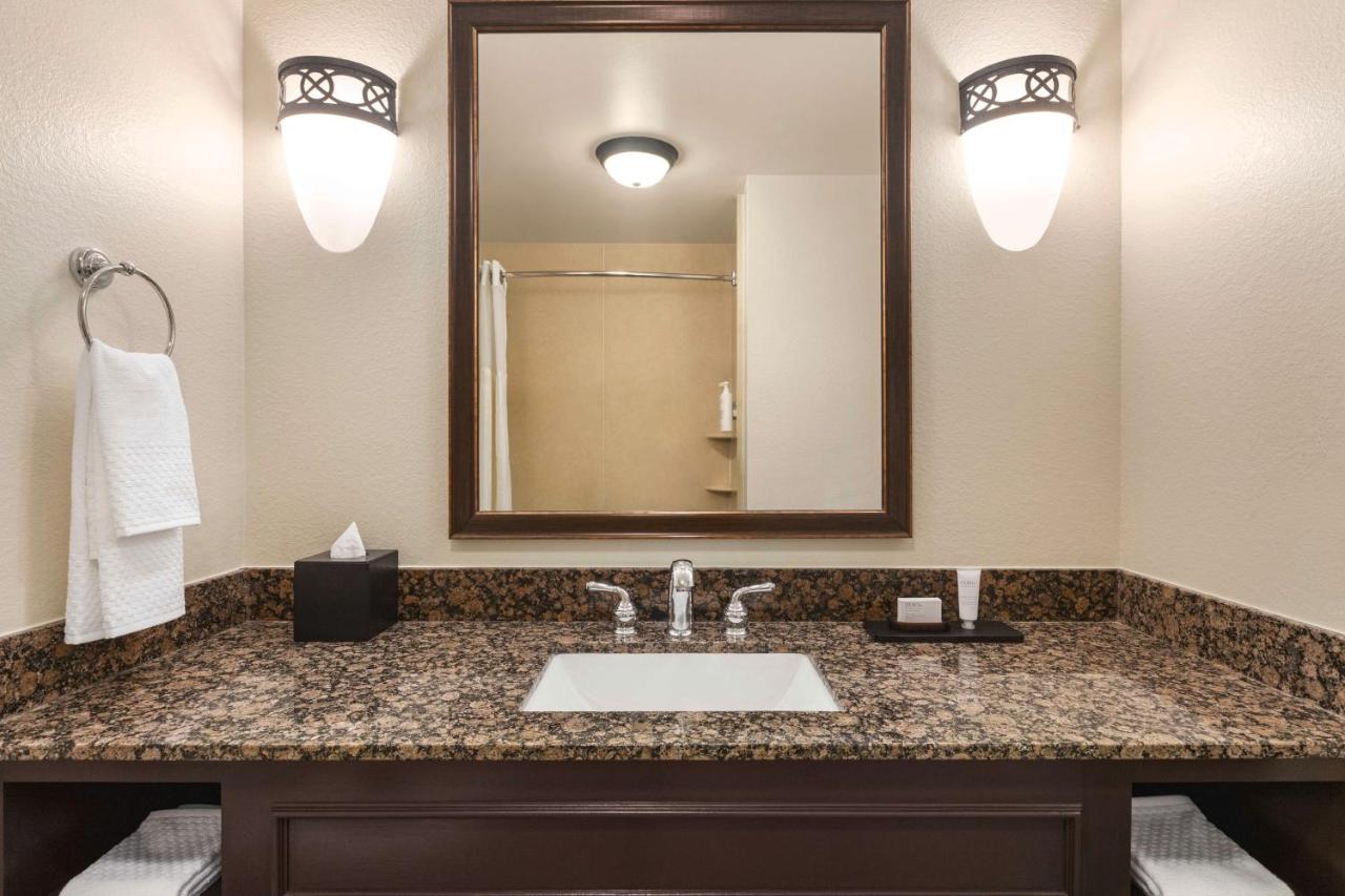 Deluxe King Room Non-Smoking at Embassy Suites by Hilton Orlando Lake Buena Vista South