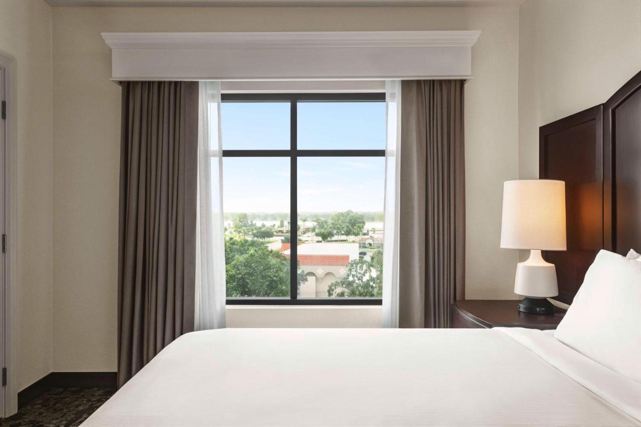 Deluxe One-Bedroom King Suite - Non-Smoking at Embassy Suites by Hilton Orlando Lake Buena Vista South