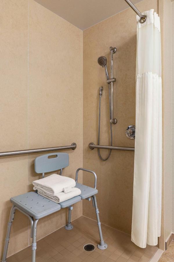 Deluxe One-Bedroom King Suite - Hearing Accessible/Non-Smoking at Embassy Suites by Hilton Orlando Lake Buena Vista South