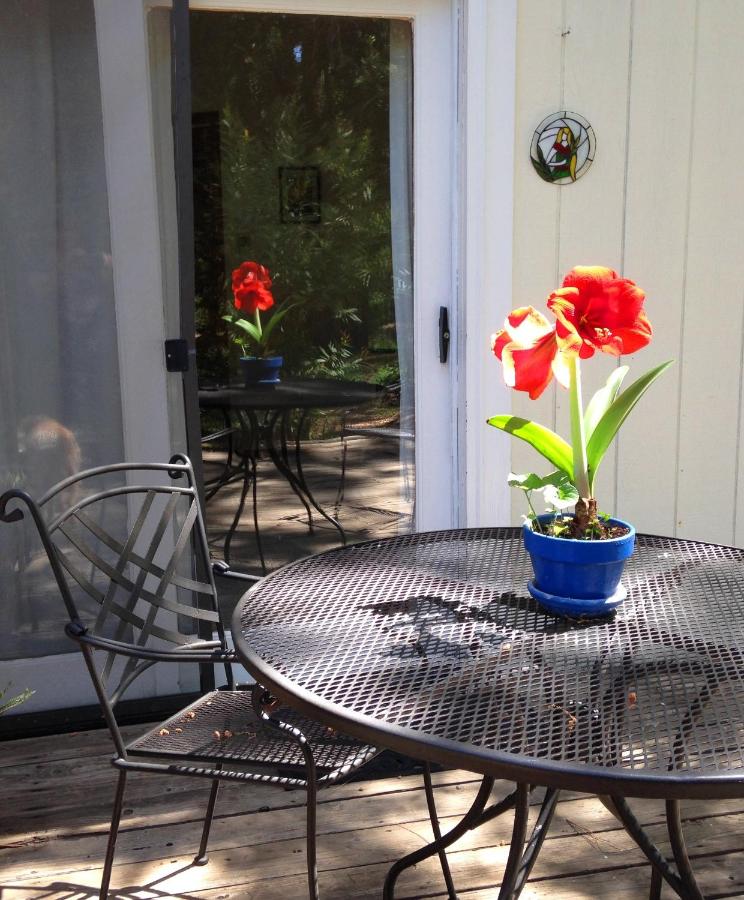 | Backyard Garden Oasis