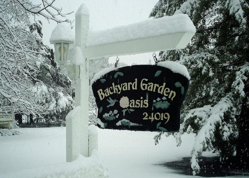 | Backyard Garden Oasis