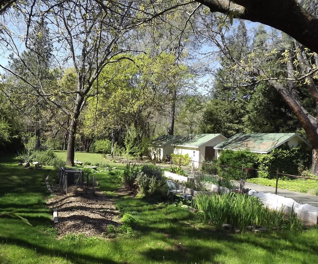 | Backyard Garden Oasis