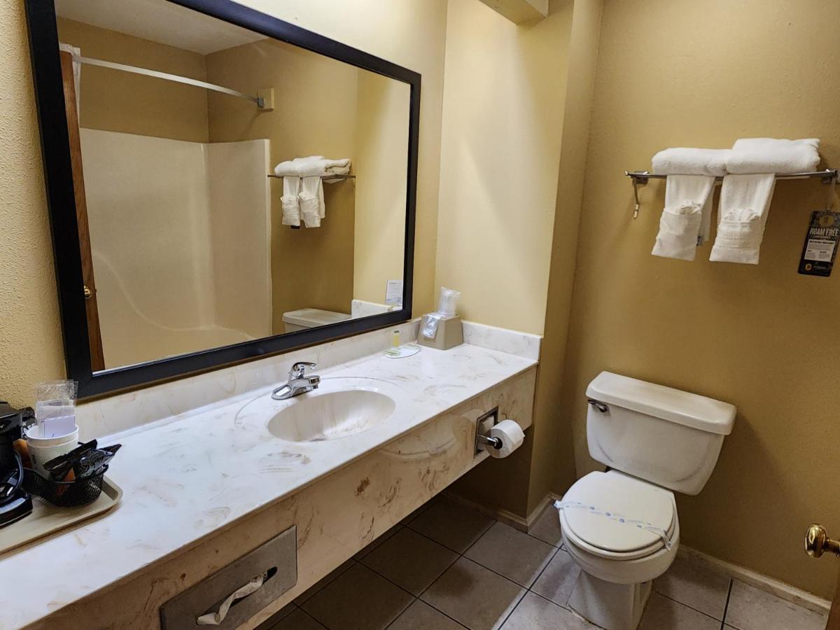 Deluxe King Room - Non-Smoking at Super 8 by Wyndham Pine Bluff