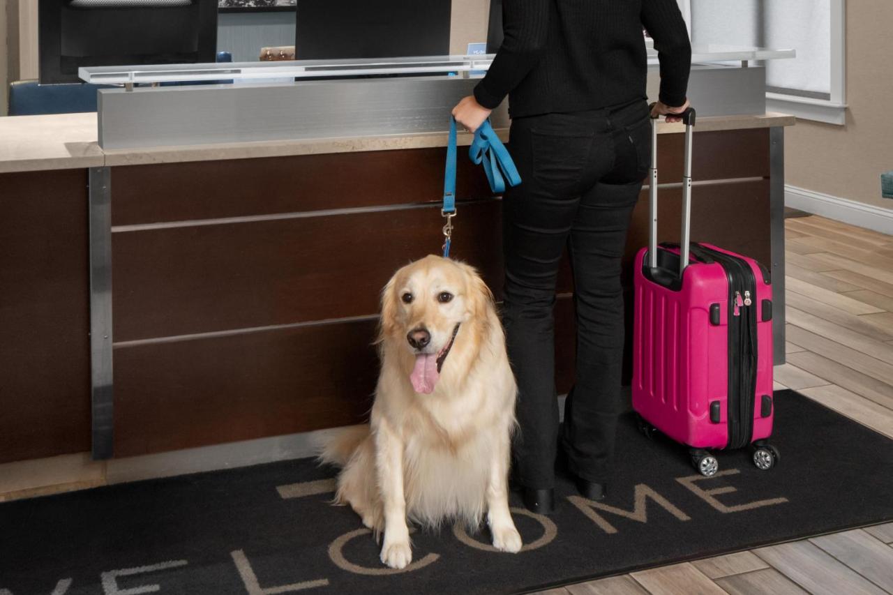 | Residence Inn Boston Dedham