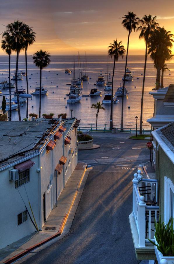  | The Avalon Hotel in Catalina Island