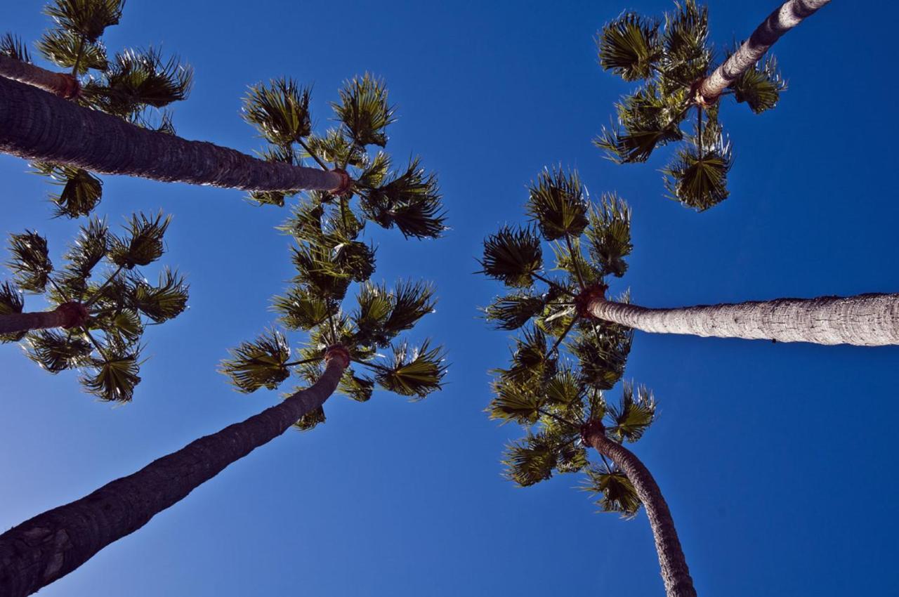 | The Avalon Hotel in Catalina Island