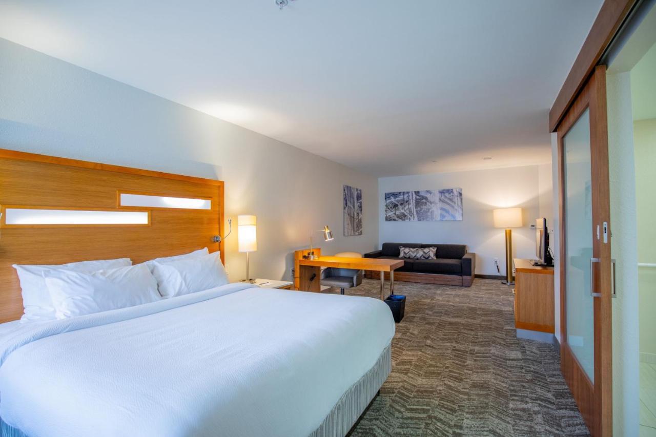 King Studio at SpringHill Suites by Marriott Baton Rouge Gonzales