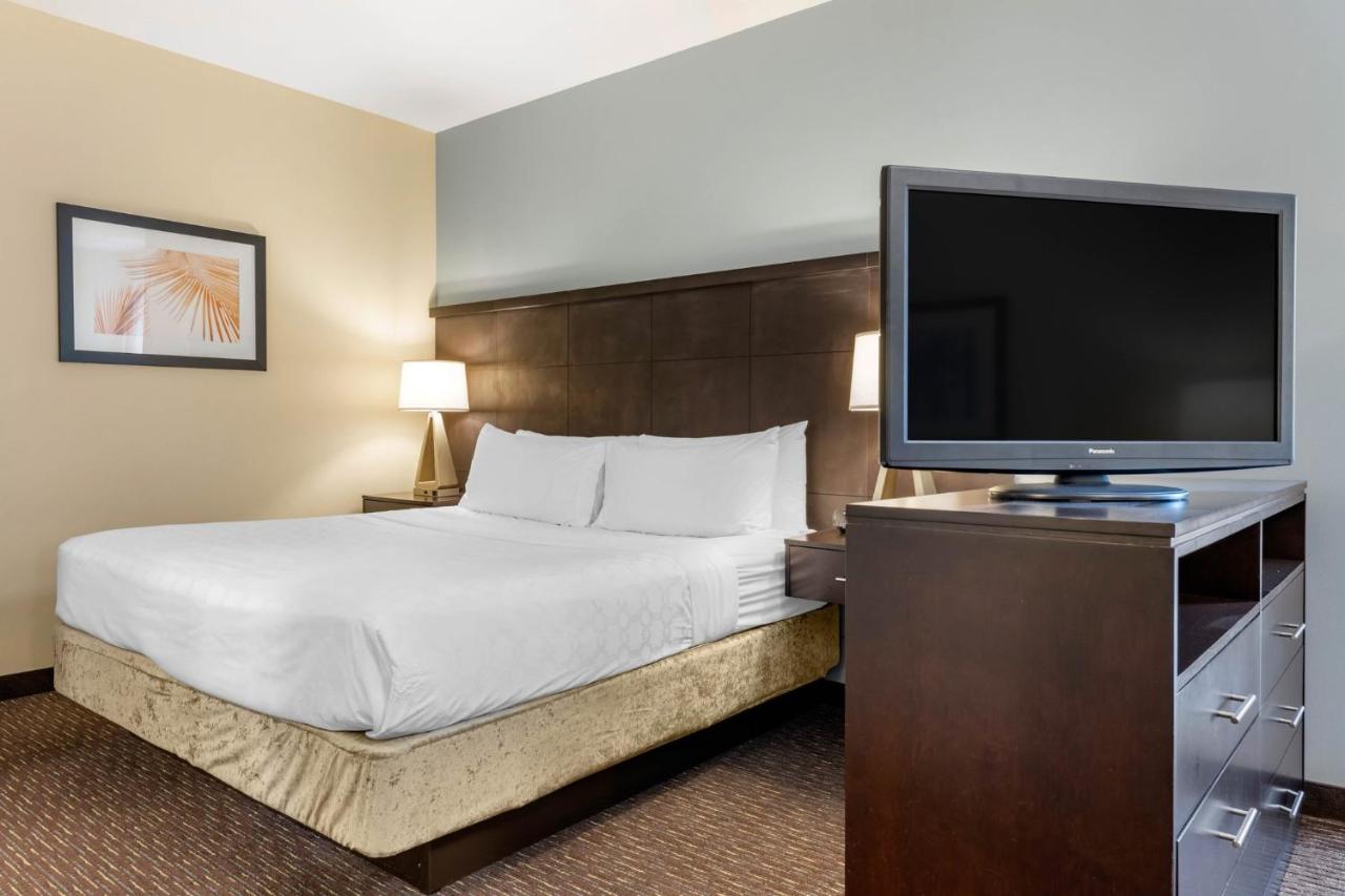 Deluxe King Suite at Staybridge Suites St. Petersburg Downtown by IHG