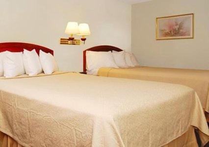 Queen Room with Two Queen Beds - Non-Smoking at Quality Inn & Suites Woodland - Sacramento Airport