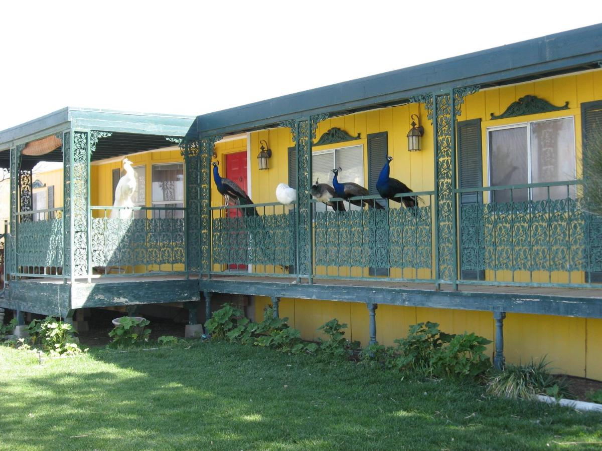 | Shady Lady Bed and Breakfast
