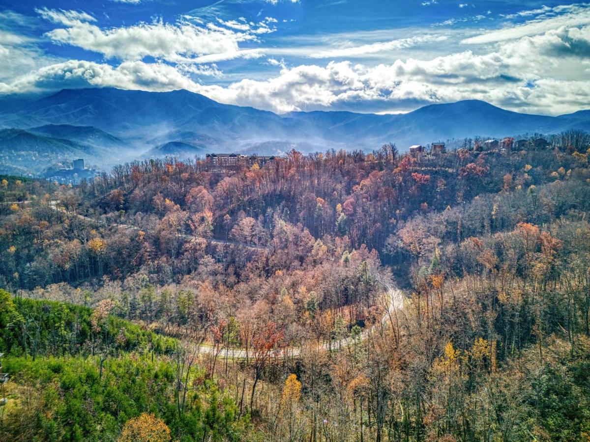 | A Million Dollar View