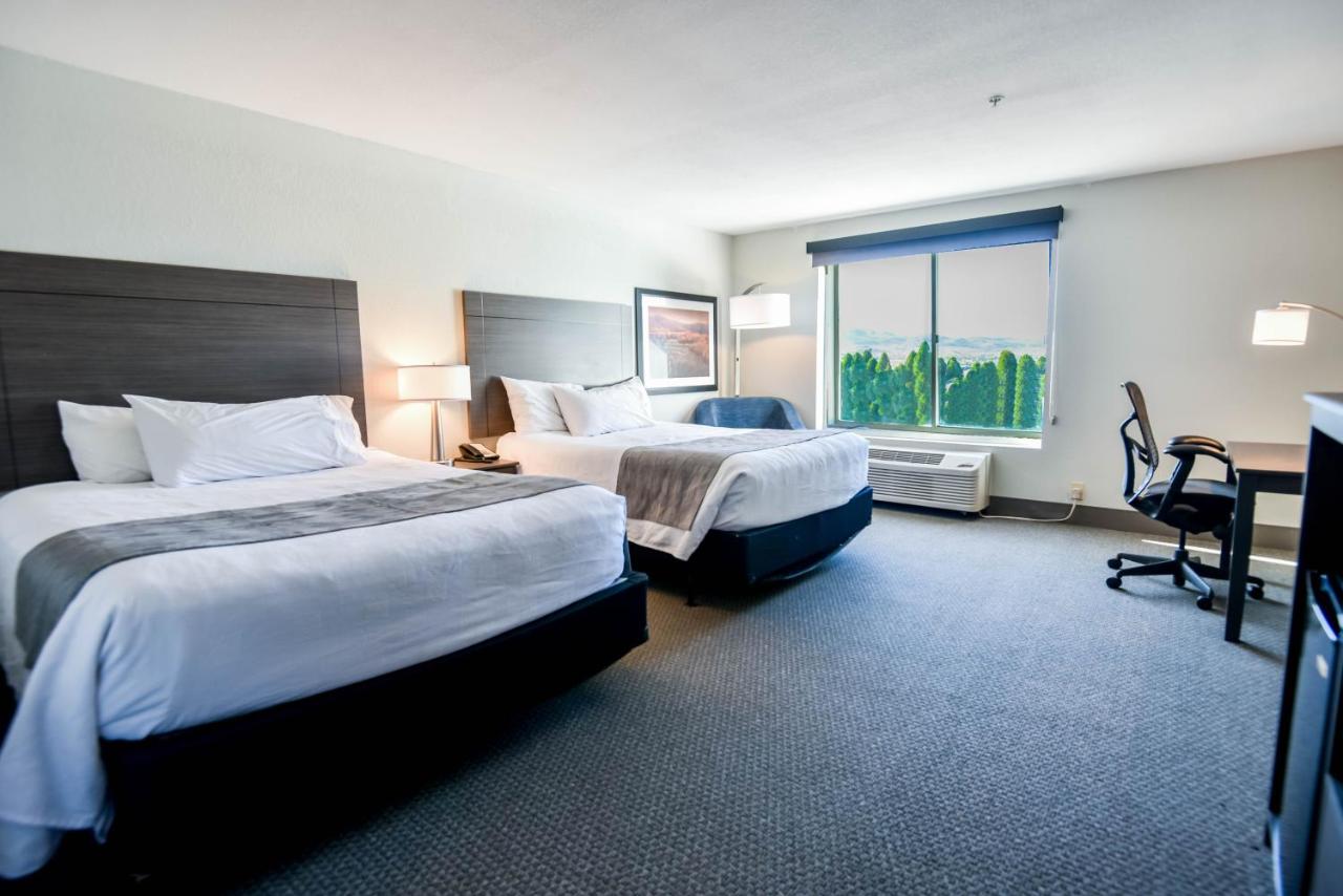 Superior Queen Room with Two Queen Beds at Shutters Hotel