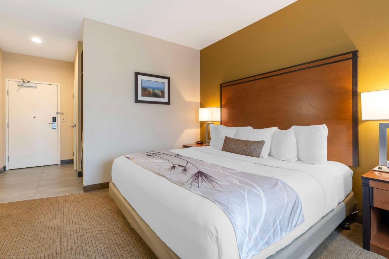 King Room at Best Western Bend North