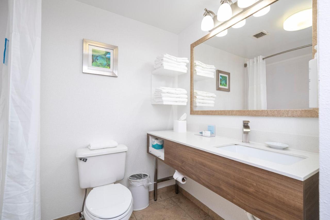 | Hampton Inn by Hilton Spring Hill