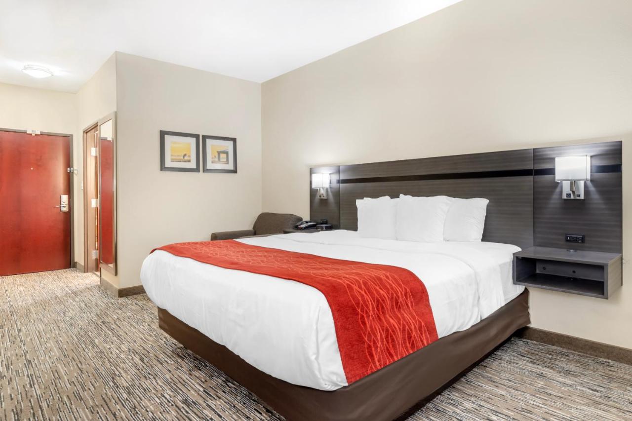 Executive King Suite - Non-Smoking at Comfort Inn Orange