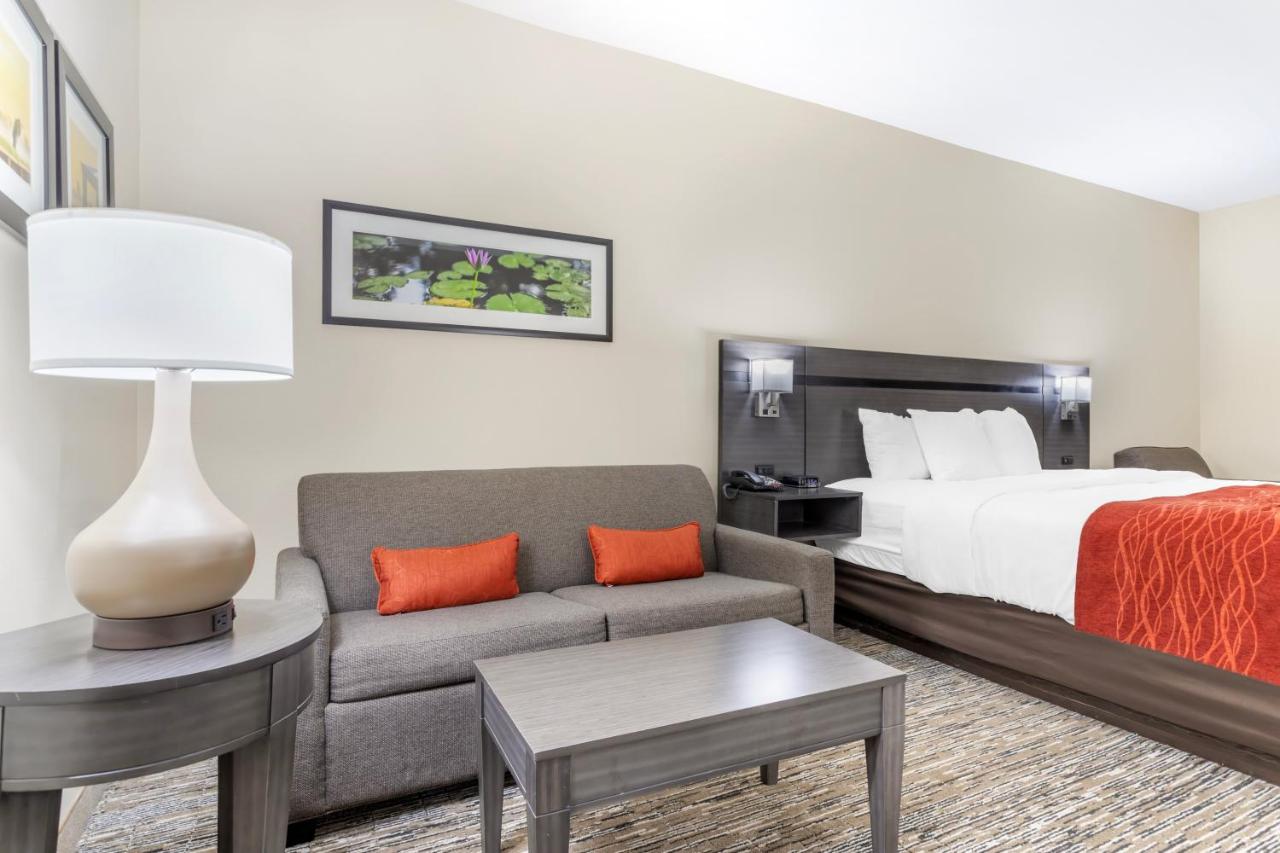 King Suite - Accessible/Non-Smoking at Comfort Inn Orange