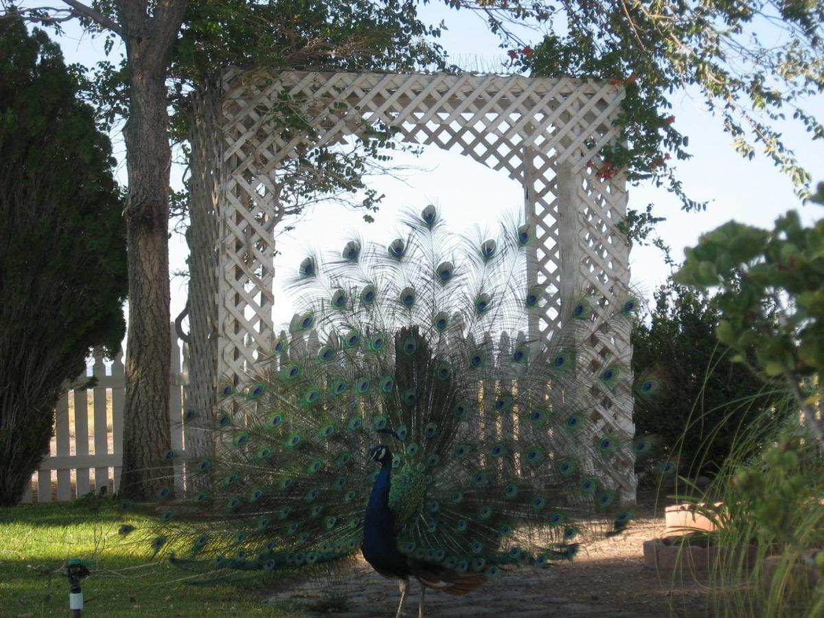 | Shady Lady Bed and Breakfast