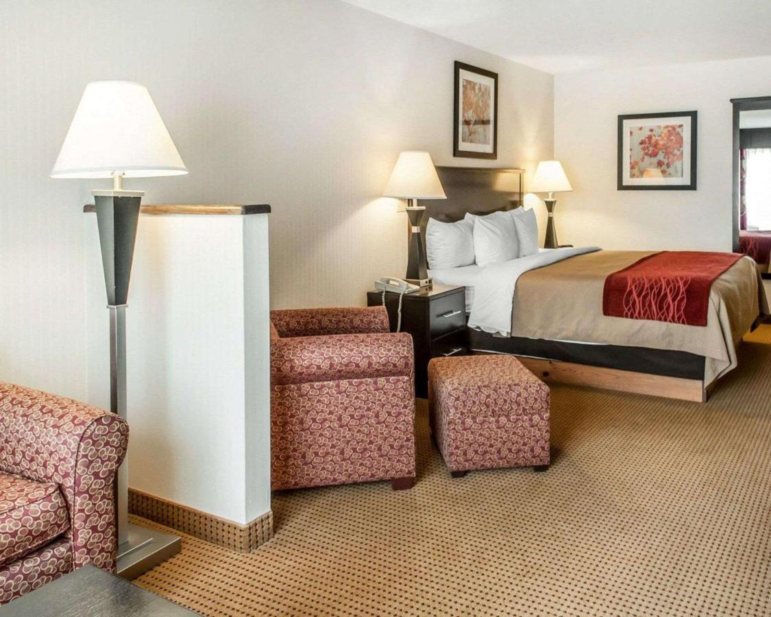 King Suite - Non-Smoking at Quality Inn & Suites Farmington