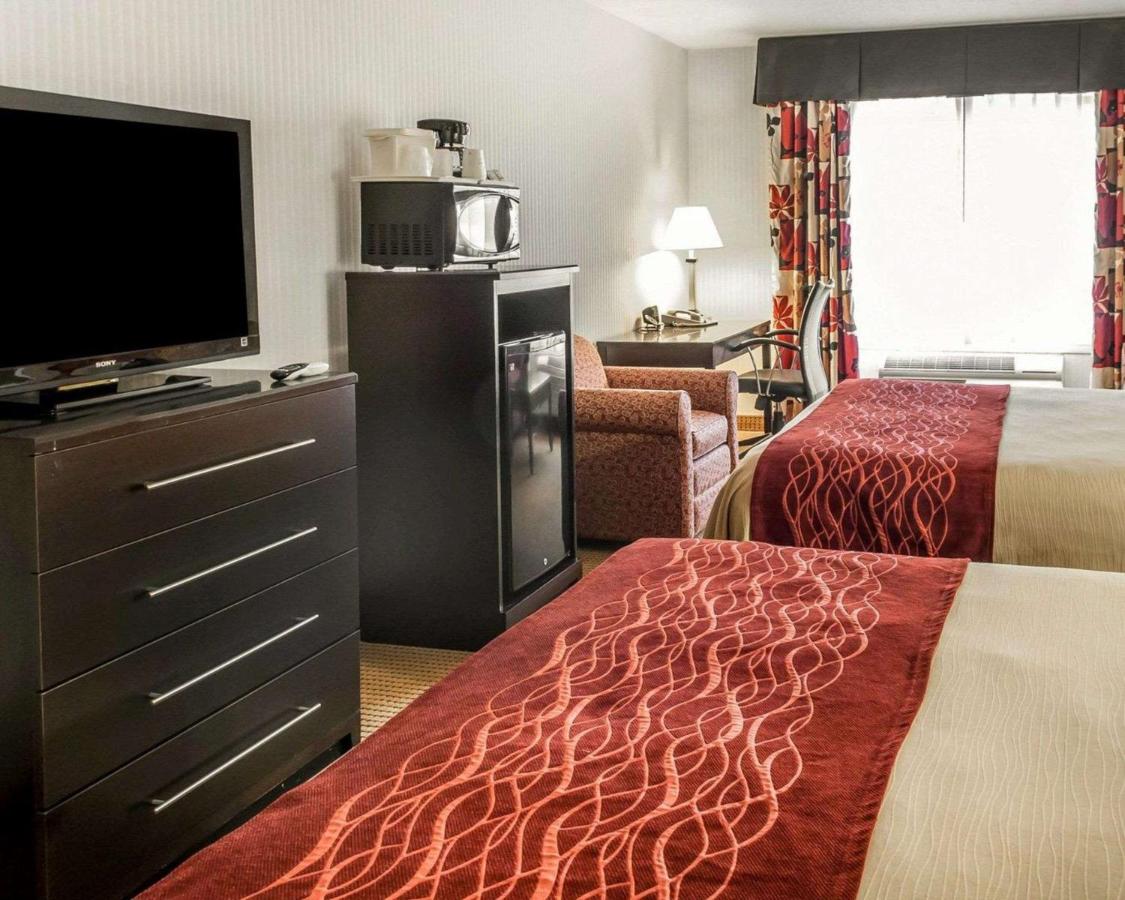 Queen Suite - Non-Smoking at Quality Inn & Suites Farmington