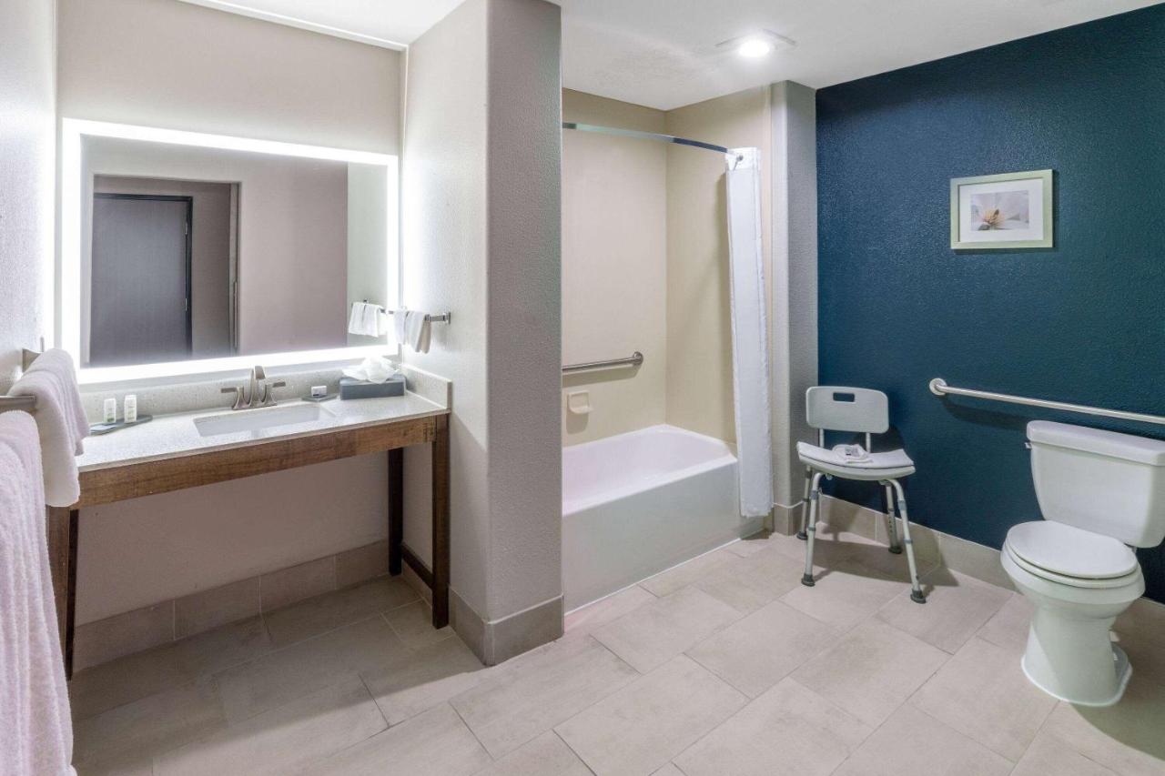 King Room with LImited View - Mobility Access/Non-Smoking at La Quinta Inn & Suites by Wyndham Santa Rosa