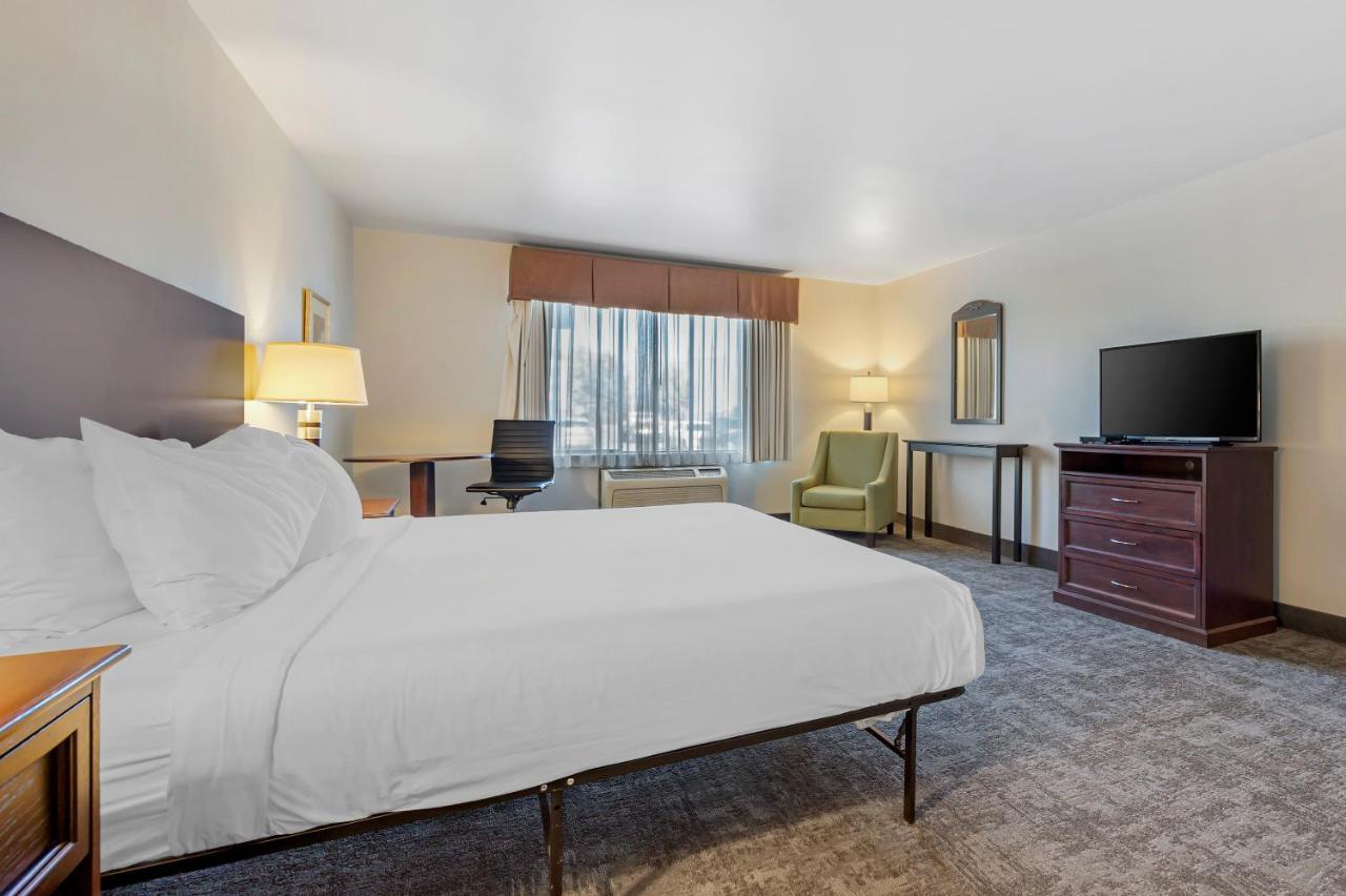 Standard Single Room at Seaport Inn and Suites