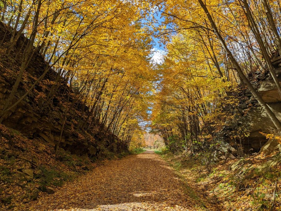 | Stay In Ohiopyle near everything including the trail, Ohiopyle PA
