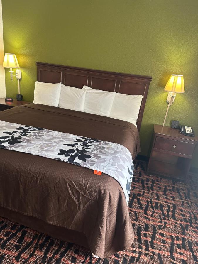 King Room - Non-Smoking at Executive inn