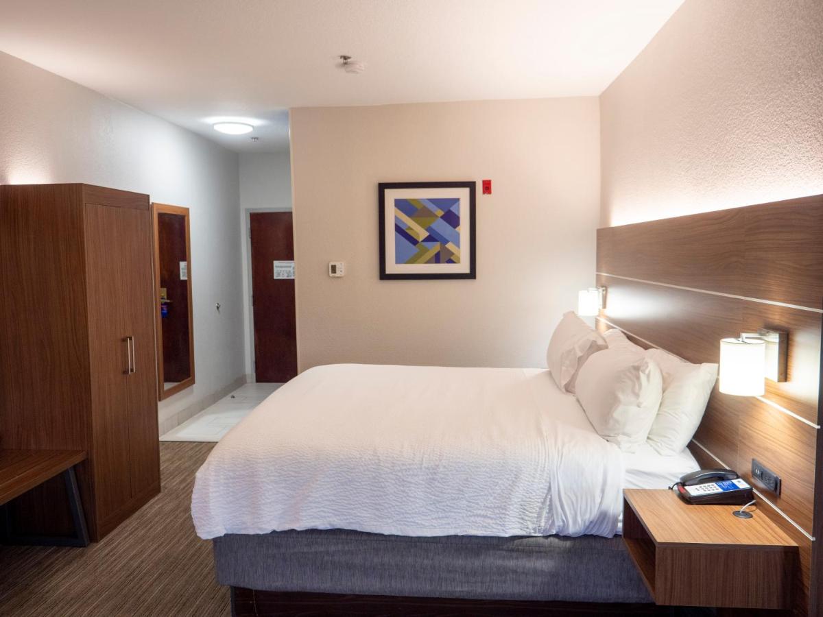 King Suite with Sofa Bed at Holiday Inn Express & Suites Greenville Airport by IHG