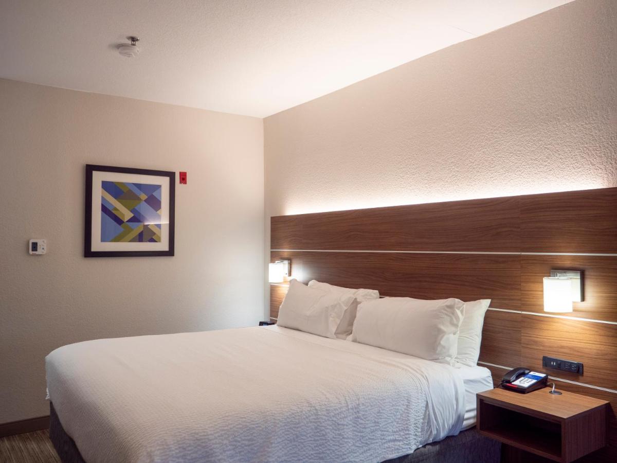 King Suite with Sofa Bed at Holiday Inn Express & Suites Greenville Airport by IHG