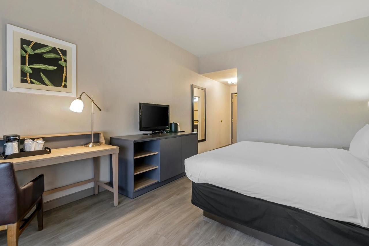 One-Bedroom King Suite with Sofa Bed - Non-Smoking at Country Inn & Suites by Radisson, Tampa Airport North, FL