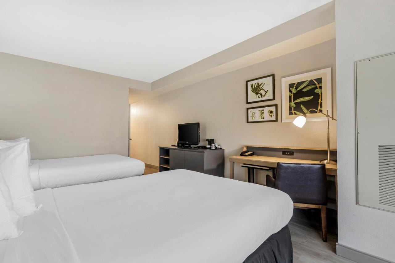 Queen Room with Two Queen Beds - Disability Access/Non-Smoking at Country Inn & Suites by Radisson, Tampa Airport North, FL