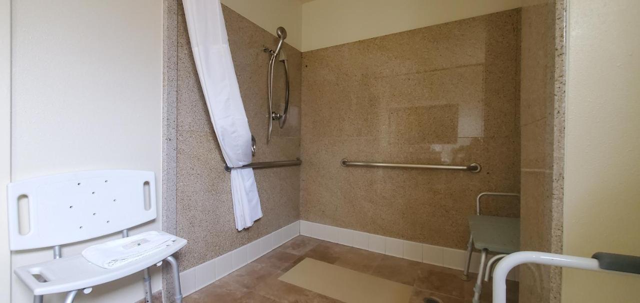 Standard Room, 1 King Bed, Accessible Roll-In Shower, Non Smoking at Quality Inn & Suites Anaheim At The Park