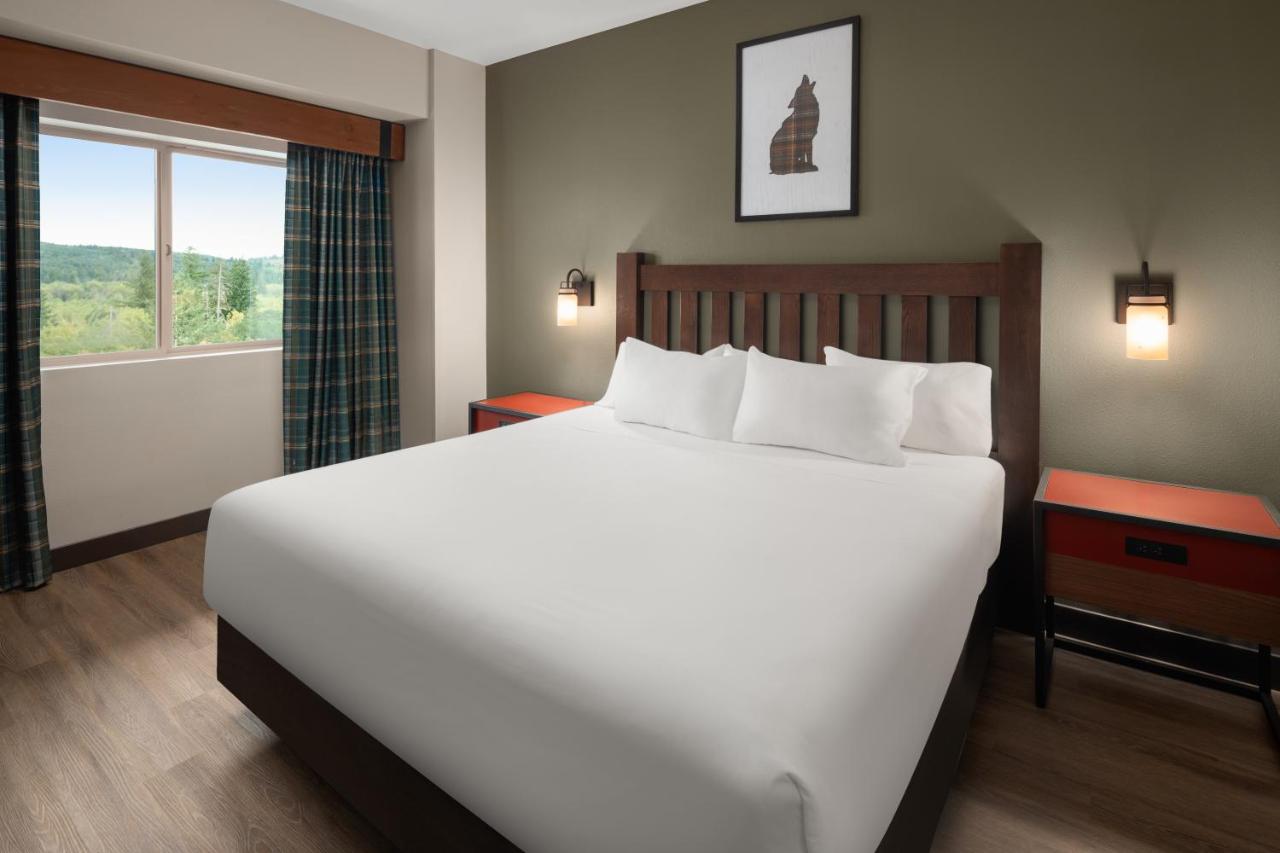 Grand Bear Suite at Great Wolf Lodge Grand Mound