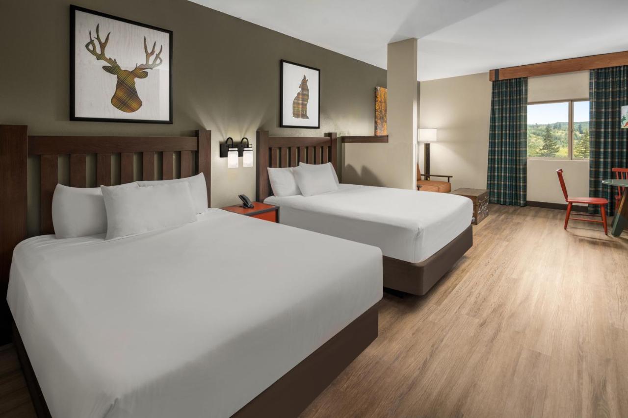 Majestic Bear Suite at Great Wolf Lodge Grand Mound