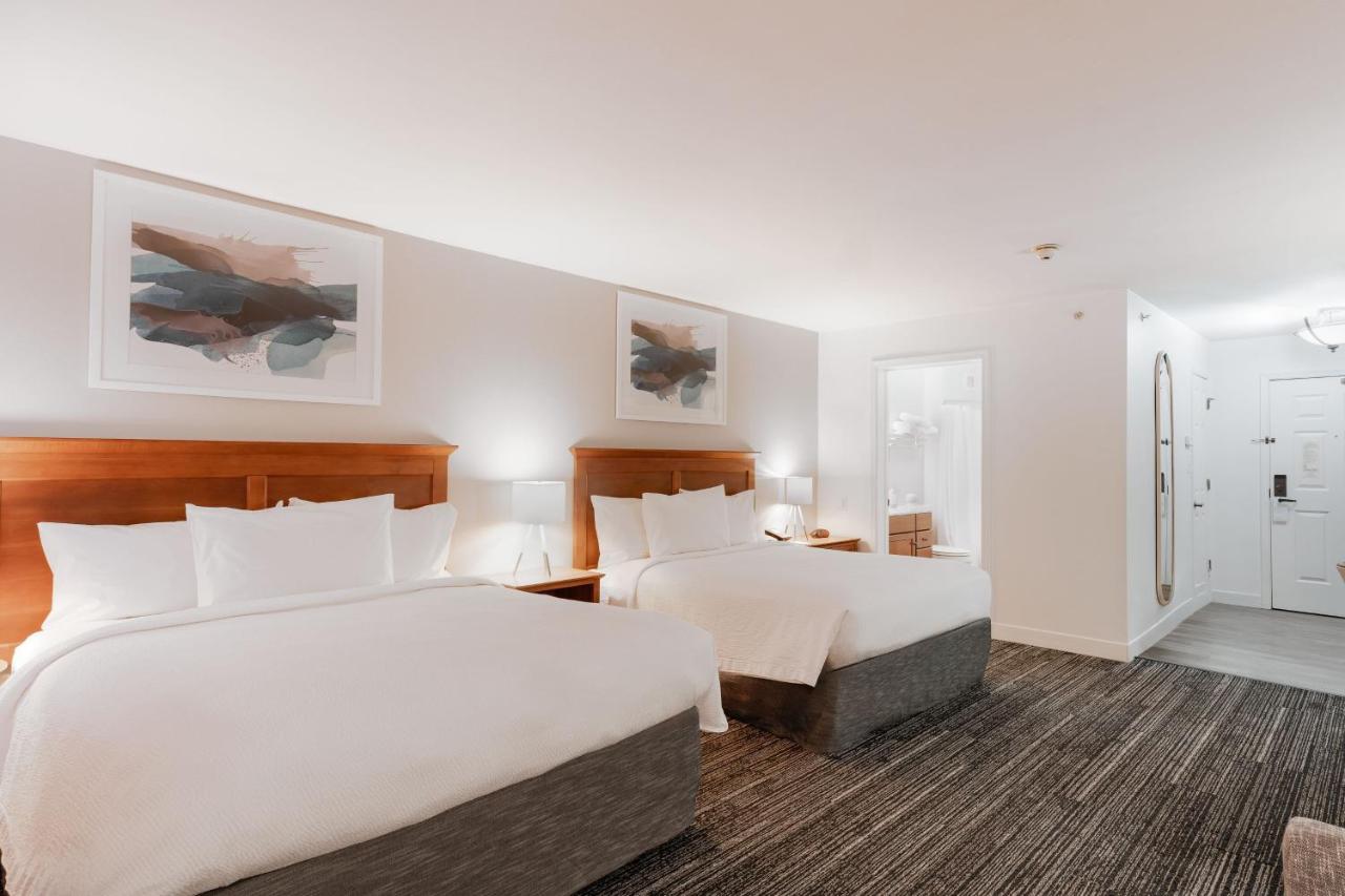 Two Queen Studio at TownePlace Suites by Marriott Quantico Stafford