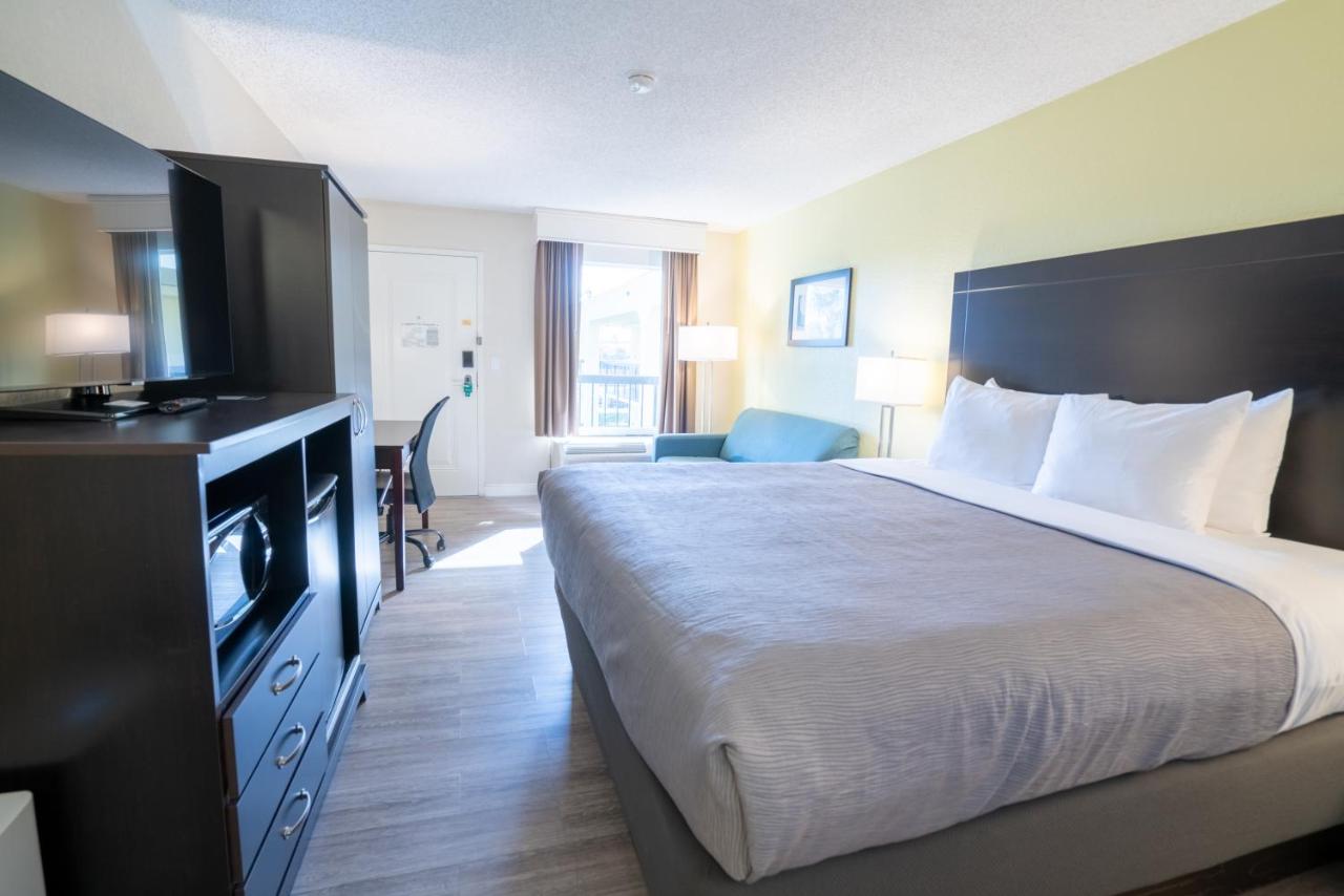 King Room with Sofa Bed - Non-Smoking at Quality Inn Palm Beach International Airport