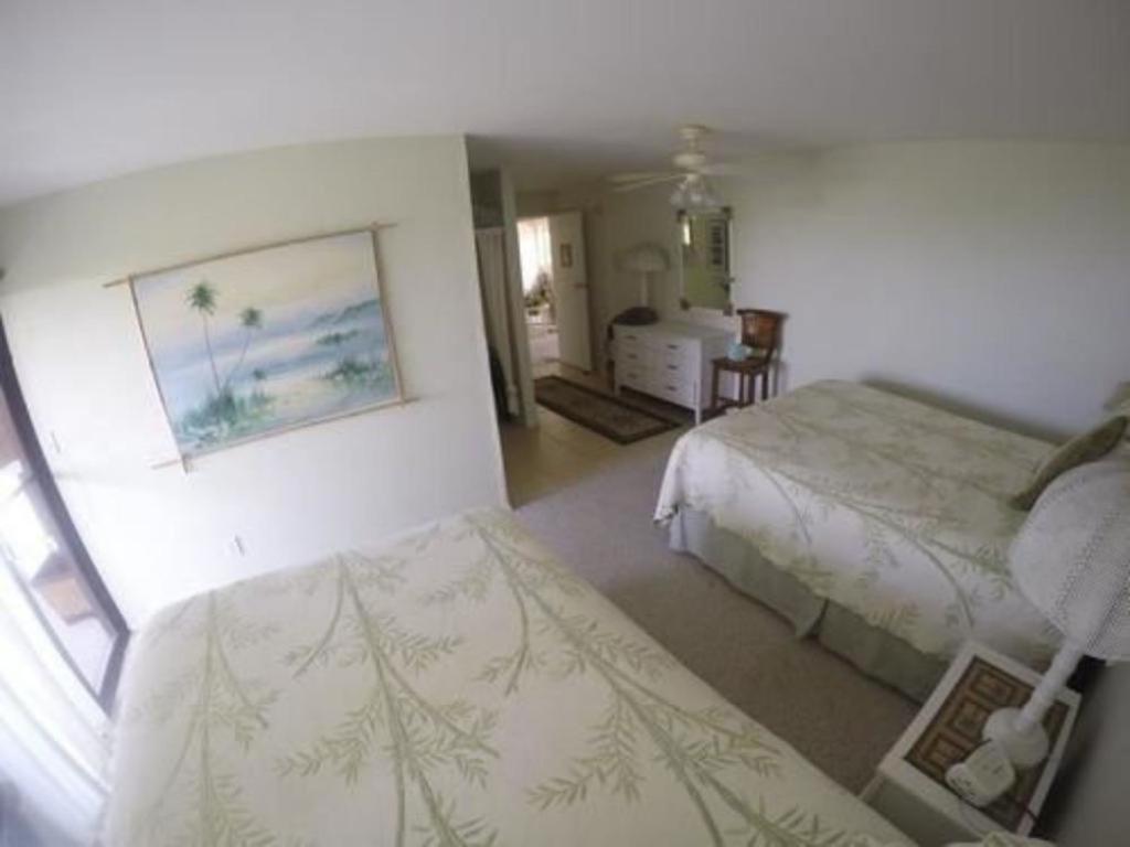 | Hale-Hoola B & B