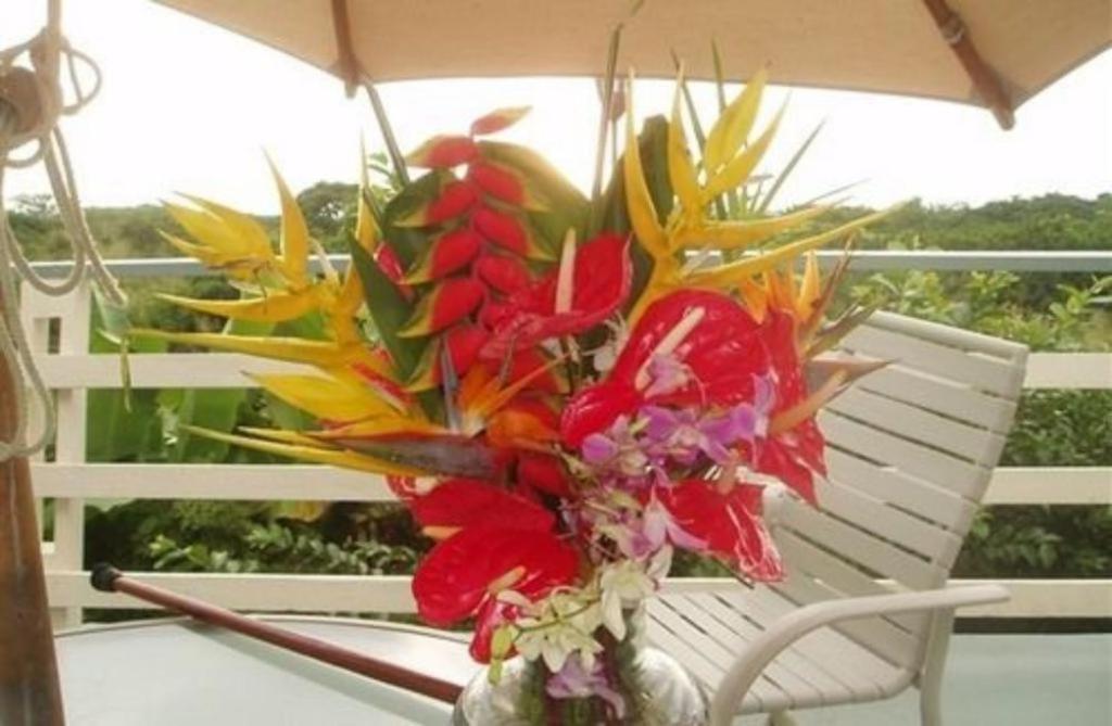 | Hale-Hoola B & B