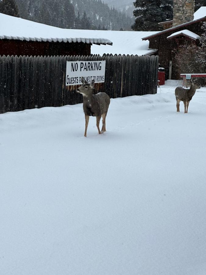 | Deer Lodge
