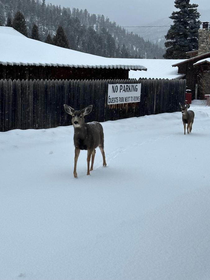 | Deer Lodge